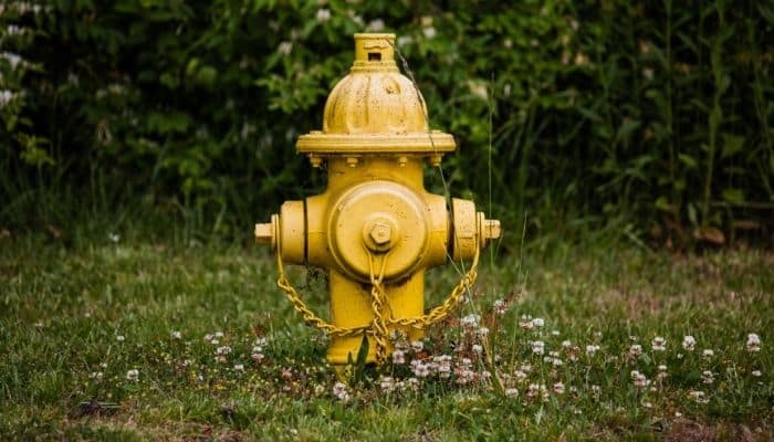 Yellow fire hydrant sitting in the middle of clover